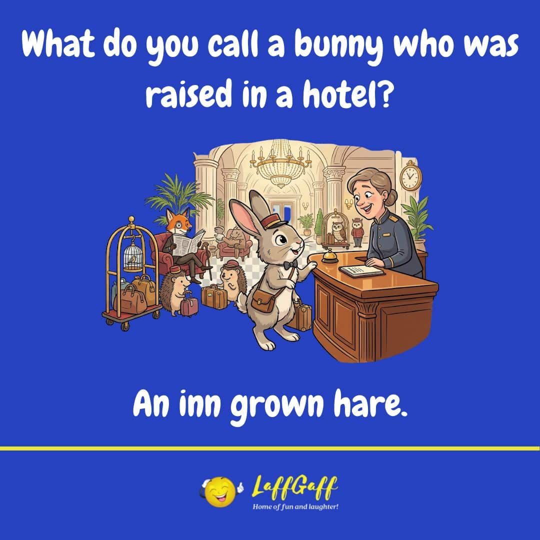 LaffGaff's tweet photo. What do you call a bunny who was raised in a hotel?

An inn grown hare. 

#funny #jokes #dadjokes #dadjokesdaily

https://t.co/4X5D9hSQgw https://t.co/ywOyfk7AsW