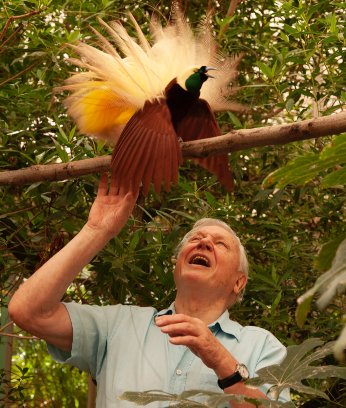 Saganismm's tweet photo. “It seems to me that the natural world is the greatest source of excitement; the greatest source of visual beauty; the greatest source of intellectual interest. It is the greatest source of so much in life that makes life worth living.”

— Sir David Attenborough https://t.co/ItXCuhOUZl