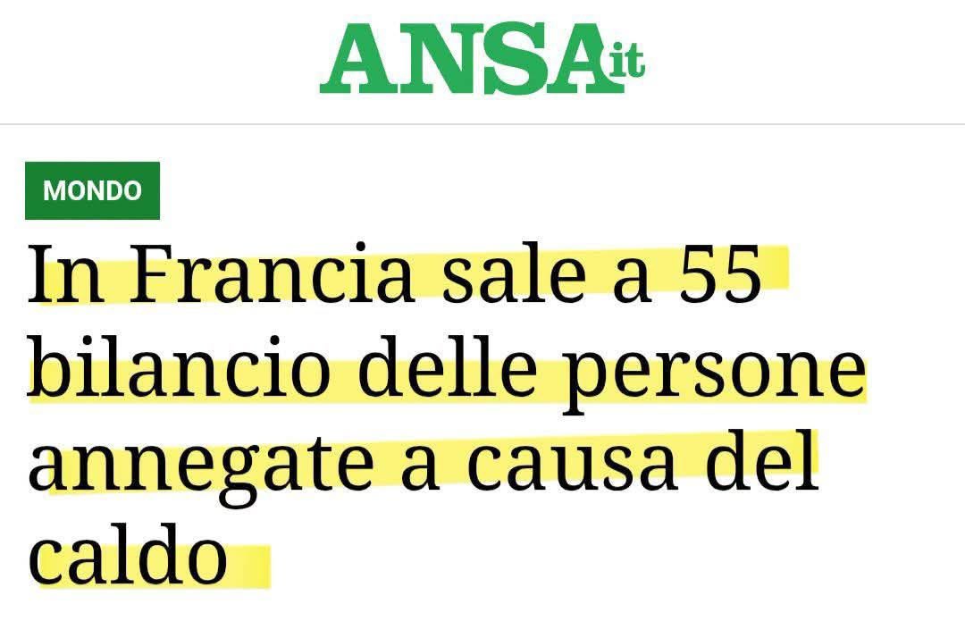 rodcostakiwi's tweet photo. 🫆 A questo punto non mi stupirei del prossimo titolo:
«Il caldo è così insopportabile che la gente si butta in acque infestate da squali pur di trovare refrigerio».  Insomma, ci ritengono proprio una massa di imbecilli…🤣🤔 https://t.co/50Qx2MnvxZ
