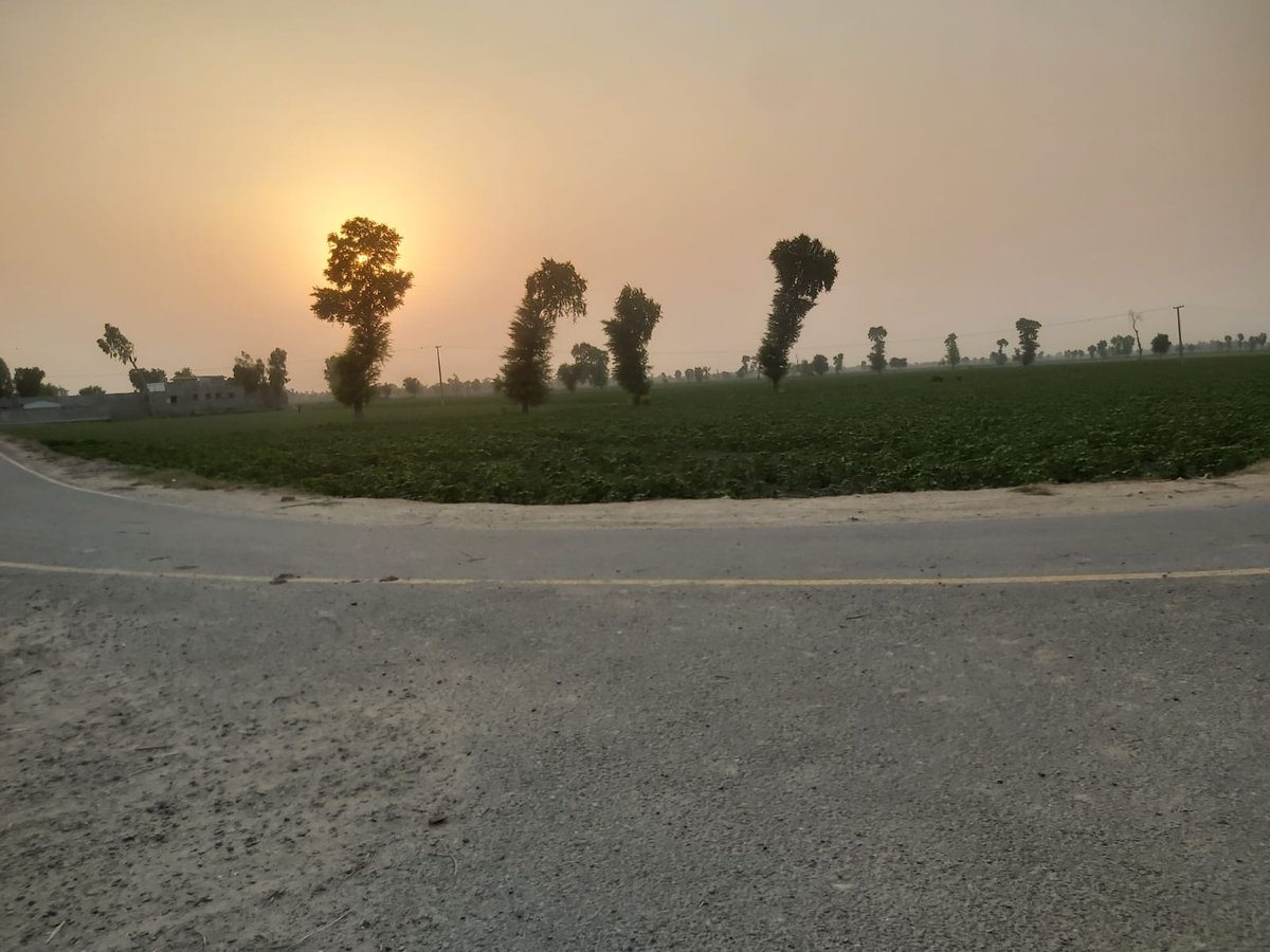 raza251's tweet photo. بس ایک شام کا ہر شام انتظار رہا 

مگر وہ شام کسی شام بھی نہیں آئی
💚 https://t.co/GaJoNPCQbd