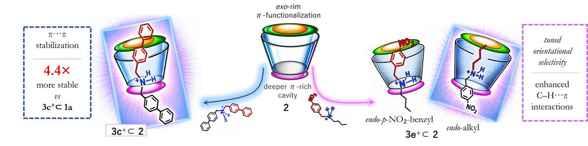 SupraChemUnisa's tweet photo. How does expanding a macrocycle's aromatic cavity boost host–guest stability? 🧪Read our latest paper in @ChemEurope!!
 🚀Read it here: https://t.co/9YgQtzD4ci #Supramolecular #NMR #DFT https://t.co/k5fTj6lrmu