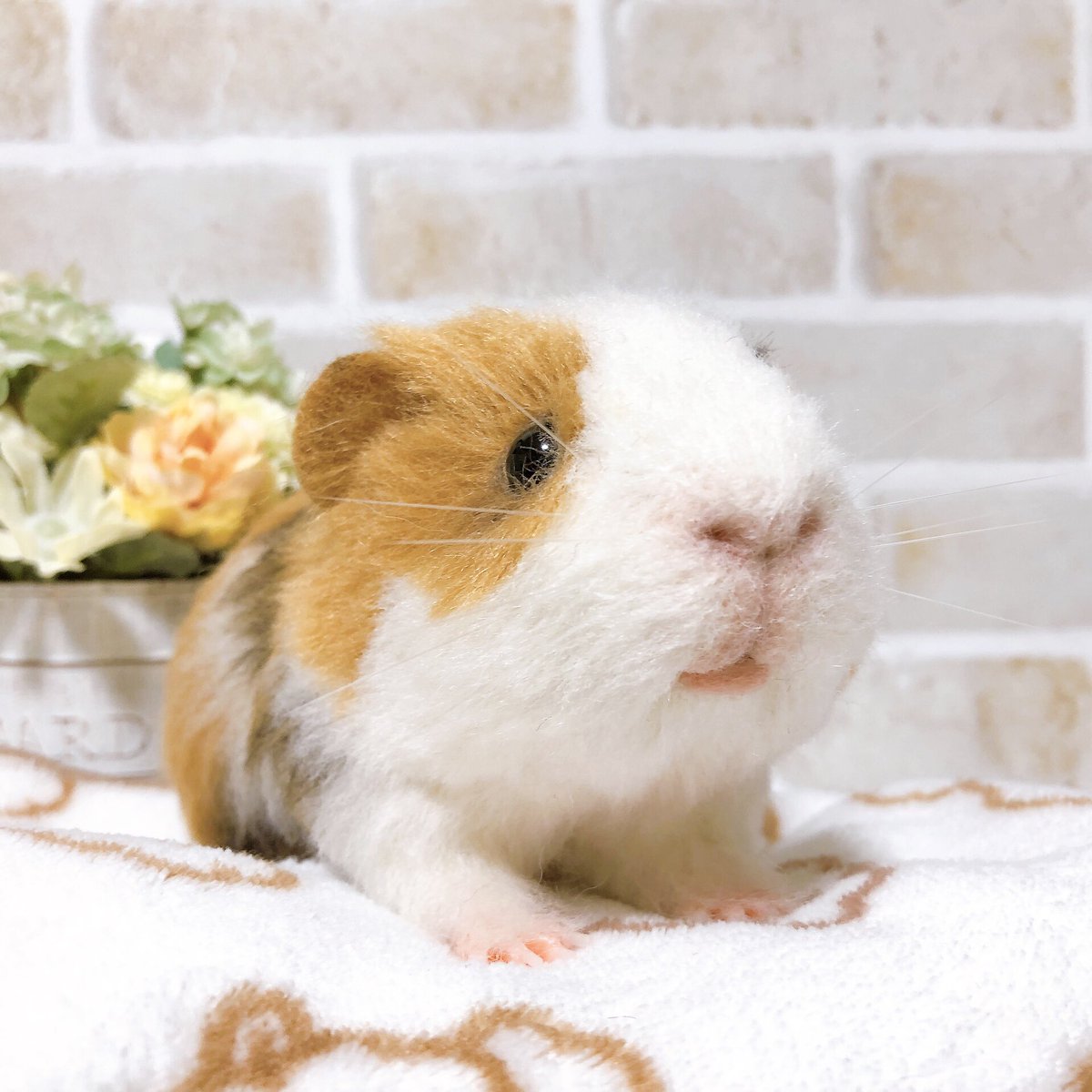 ゆき (@yukicco8) / Posts / X
