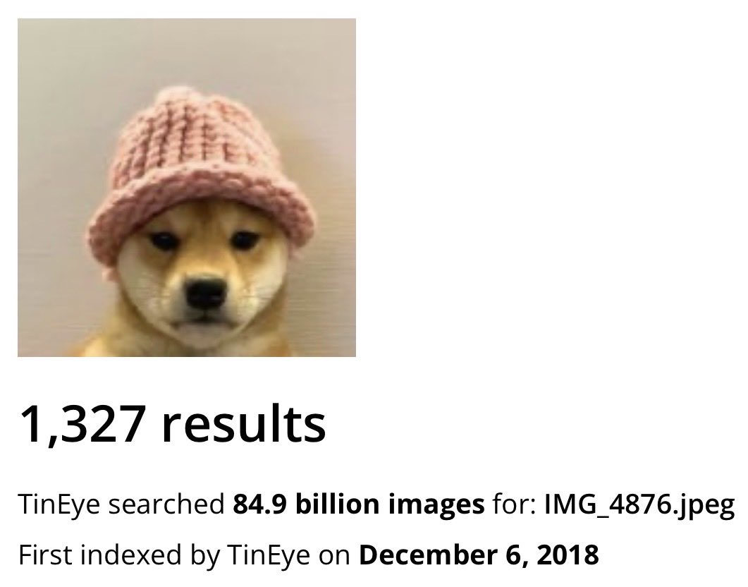 catwifhatOGSOL's tweet photo. solana:7atgF8KQo4wJrD5ATGX7t1V2zVvykPJbFfNeVf1icFv1 has been around since 2008, the first viral pfp cult https://t.co/4i1rwA7xl0
