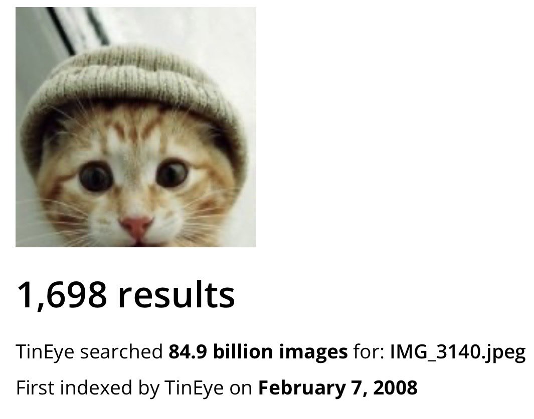 catwifhatOGSOL's tweet photo. solana:7atgF8KQo4wJrD5ATGX7t1V2zVvykPJbFfNeVf1icFv1 has been around since 2008, the first viral pfp cult https://t.co/4i1rwA7xl0