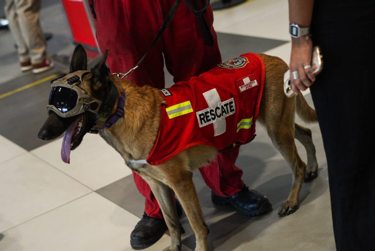 CarlosRMarcano's tweet photo. Gracias por tu ayuda perrito peruano de rescate 🫂🇵🇪🇻🇪 https://t.co/OLAERYmW4a
