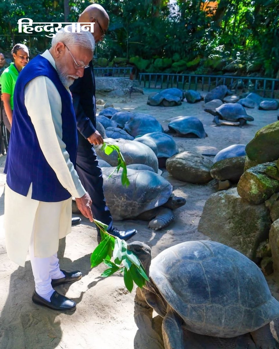 Live_Hindustan's tweet photo. #InPics  | PM मोदी ने अपने सेशेल्स दौरे के दौरान सेशेल्स नेशनल बॉटनिकल गार्डन में दुनिया के सबसे उम्रदराज़ जीवित स्थलीय जीव (कछुए) 'जोनाथन' से मुलाकात की। 'जोनाथन' एक विशाल एल्डाब्रा जायंट कछुआ है जिसकी उम्र करीब 194 वर्ष है और यह गिनीज वर्ल्ड रिकॉर्ड्स में दर्ज है। 

#PMModi #NarendraModi #Seychelles #GiantTortoises #BotanicalGarden 

देश-दुनिया की खबरें पढ़ने के लिए अभी डाउनलोड करें 'Hindustan App' और जीते फ्री मोबाइल रिचार्ज