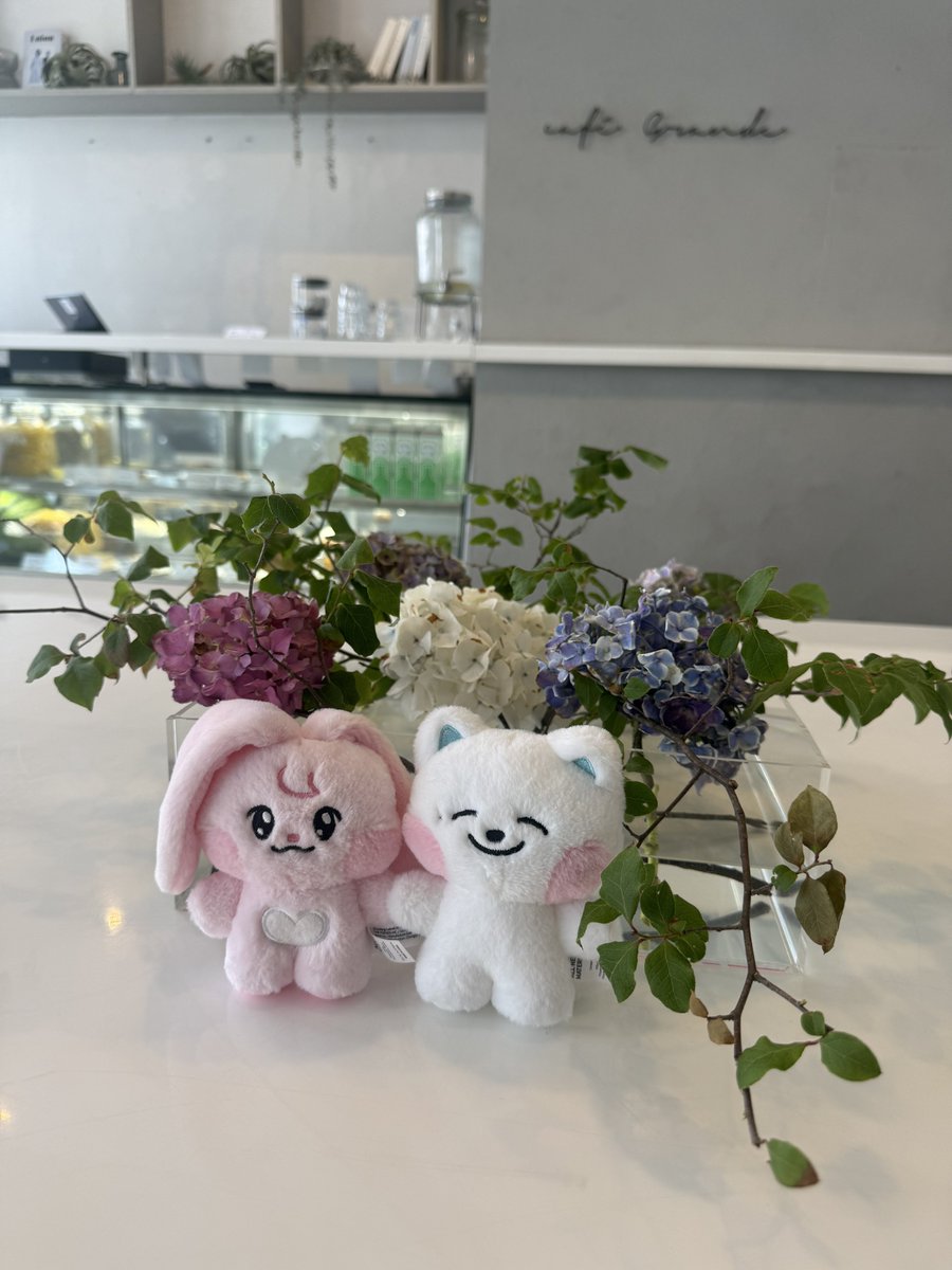 Dream_Riii's tweet photo. 🐰🐱🐶🎥🍿♡ https://t.co/Kt24l4i6xh
