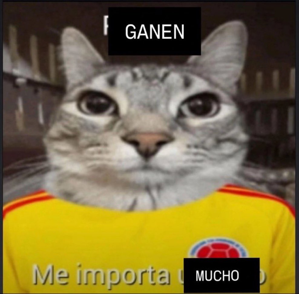 zerep_dalb's tweet photo. yo después de la copa américa / yo hoy https://t.co/lZ4tDNQvYa