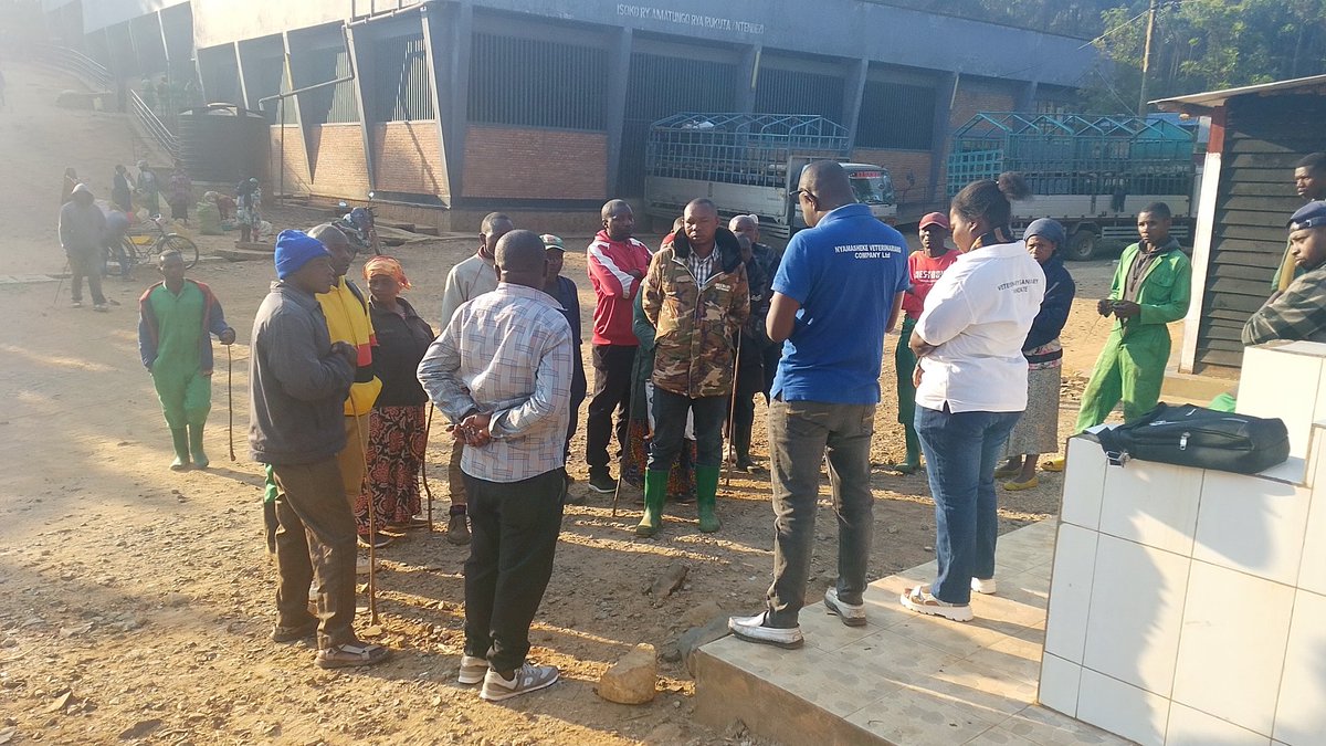 Clinicshangi's tweet photo. Uyu munsi,NVC Ltd ku bufatanye n'inzego z'ibanze bakoze ubukangurambaga bwo gukumira icyorezo cya  RVF mu Mirenge itandukanye y'akarere ka Nyamasheke.Ubu bukangurambaga burakomeje hagamijwe kurinda ubuzima bw'amatungo n'ubw'abaturage.#RVF#Nyamasheke#OneHealth @RwandaAgri https://t.co/BZ8exiA0q2