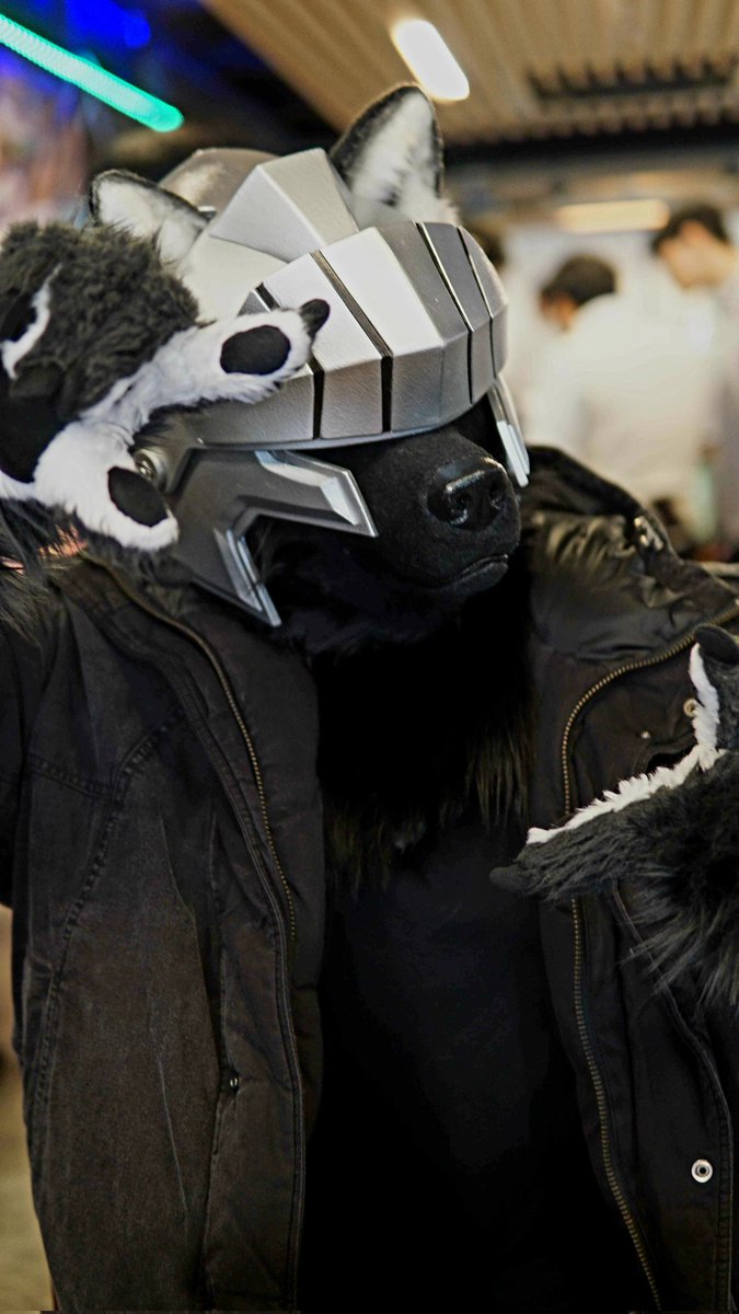 DunkellVolker's tweet photo. #fursuits #fursuitEveryday #dunkell #몽실몽실수인회관
몽몽수를 다녀왔습니다.
새로운 사복복장이 마음에듭니다 🥴 https://t.co/09teJCJiiH