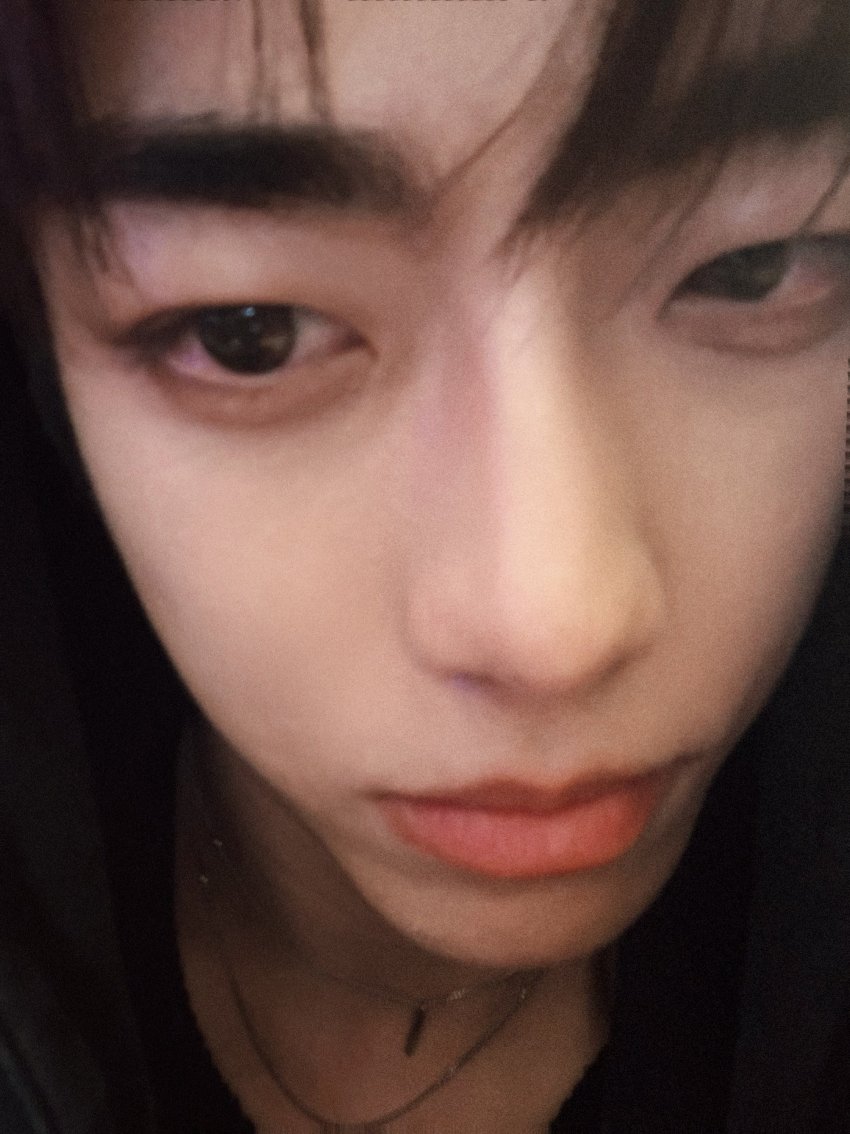 burri109's tweet photo. 간절함 따위 보이지 않는 그뭔씹 구조에서도 살아남잖아 https://t.co/3vPGdKncHC