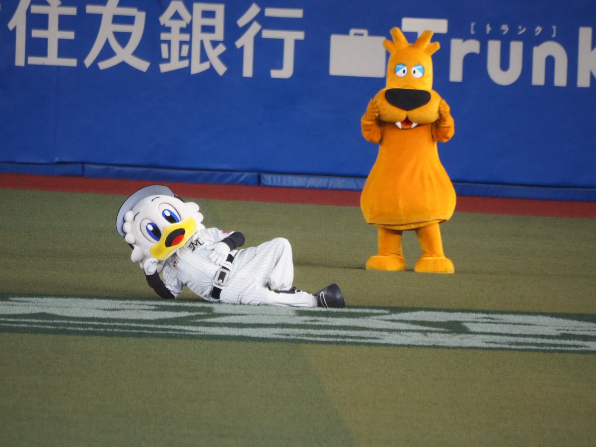 okatakashii21's tweet photo. やれやれ〜やっほーー

って感じ笑

#マーくん
#mar_kun
#chibalotte https://t.co/sDoO8Tr2bA
