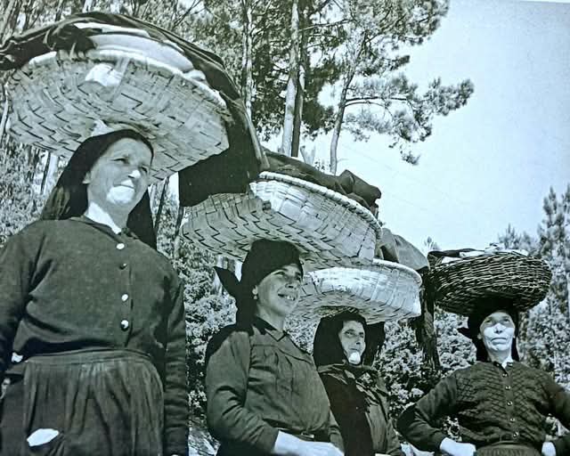 lagrimaslibro's tweet photo. Viveiro (provincia de Lugo). Año 1956. Mujeres con las cestas en la cabeza. Un estilo para transportar lo necesario.

Foto de Ramón Dimas https://t.co/5PTt2G5BNZ