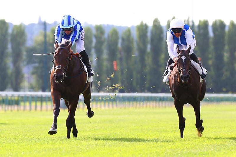 almracing's tweet photo. An unforgettable day at Deauville as Tokaido secures our first Group 3 winner! 🥇 

Ridden by @piccone_tony in the Prix Du Bois 🤩

Congratulations to owners Daniel and Anoj who are massive supporters of the yard, we are so delighted to get them such a special win. 

Sourced by @StroudColeman at the @Goffs1866 Premiier Yearling Sale from breeder @MickleyStud 👏🏼

We send our condolences to @BottiRacing and his team along with the connections of Rouhi. It is never nice to win in these circumstances 😢
