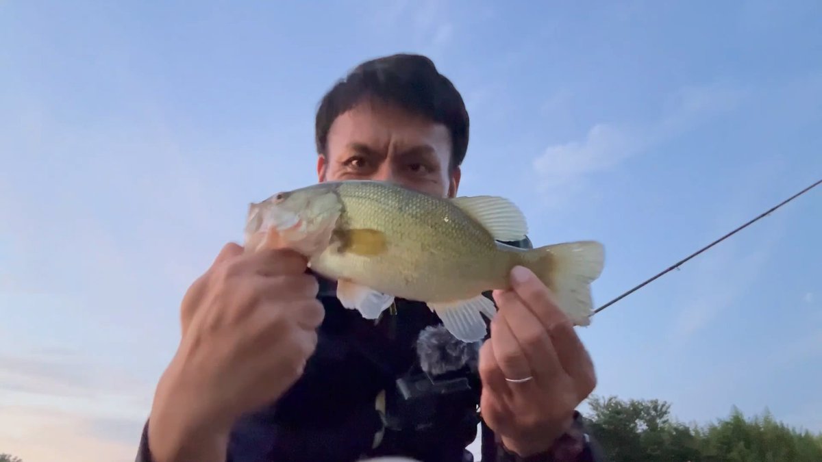 no_gorichan's tweet photo. 【バス釣り】【霞ヶ浦】梅雨入り時期にこのリグ試してみて

この時期はどんなところをどう攻めると釣果を伸ばせるのか？

動画はこちら
https://t.co/bvhvBcOjSm

#バス釣り
#霞水系
#霞ヶ浦
#おかっぱり
#バスフィッシング
#流入河川 https://t.co/O2BEiWgkJI