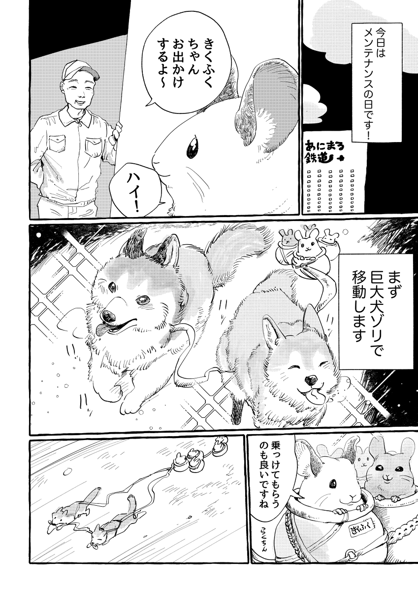 ginnezu33's tweet photo. チンチラ好きさんが増えたので再掲🐭 (1/2) https://t.co/hXcBDWdhNx