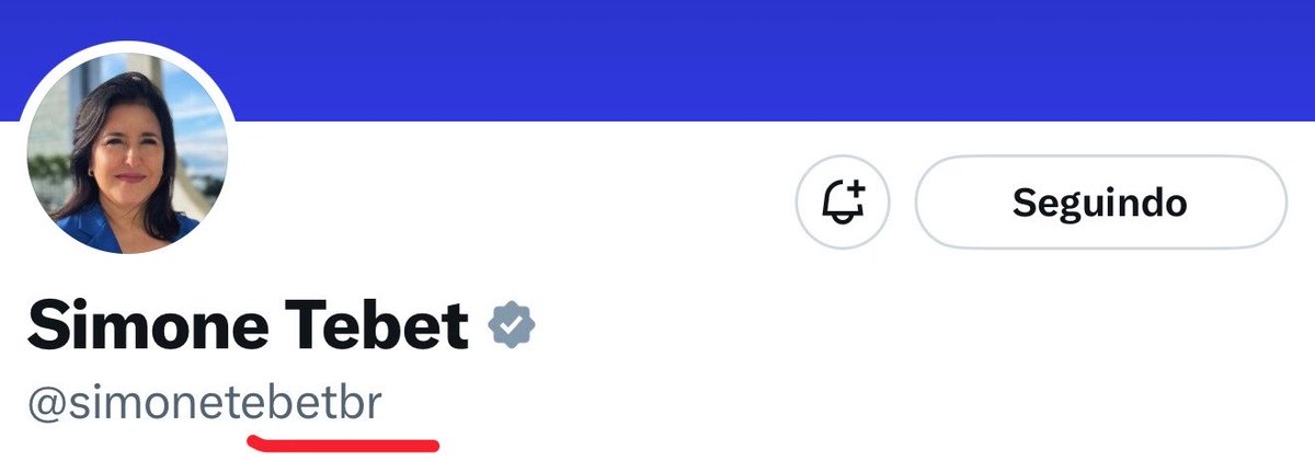 lucianocarvaIho's tweet photo. A Simone Tebet fica falando contra as bets, mas porque vendeu os naming rights do seu perfil????? 🤣🤣🤣🤣🤣🤣🤣🤣🤣🤣 https://t.co/x1OVRDbJFm
