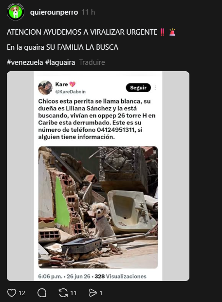 avahi42's tweet photo. Found the real name of the dog. it's blanca

https://t.co/uWWThiumLj https://t.co/7FfQG2eogS