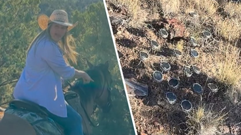 UAPWatchers's tweet photo. 🚨The Mount Shasta Mystery hits Mainstream news

The mother and daughter that stumbled across a mountainside covered in hundreds of mysterious speakers blasting eerie noises from the wilderness have hit MSM.

https://t.co/1b7SsJWjEI

Karrie Ann Snure and her daughter Jordan were horseback riding through Mount Shasta on Tuesday when they heard strange screeching sounds just off of the trail.

https://t.co/nu0pitPfnv

"Someone is summoning. What is happening?"

"It’s like this Lemurian beacon system. I have no idea."

According to Perth Now Ms Snure returned to the site to investigate and used mapping software to confirm the speakers were on private land near California Government Lands.

"I still have absolutely no idea who put them there or why," she said.

#ufotwitter #uapX 

Source:
https://t.co/HV6fD4pN98
