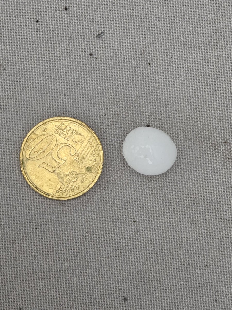 Robduponte's tweet photo. Dikke #hagel . Wel heel plaatselijk 1 km verder helemaal niks. #middelburg #noodweer #onweer https://t.co/ukPkcILHa6