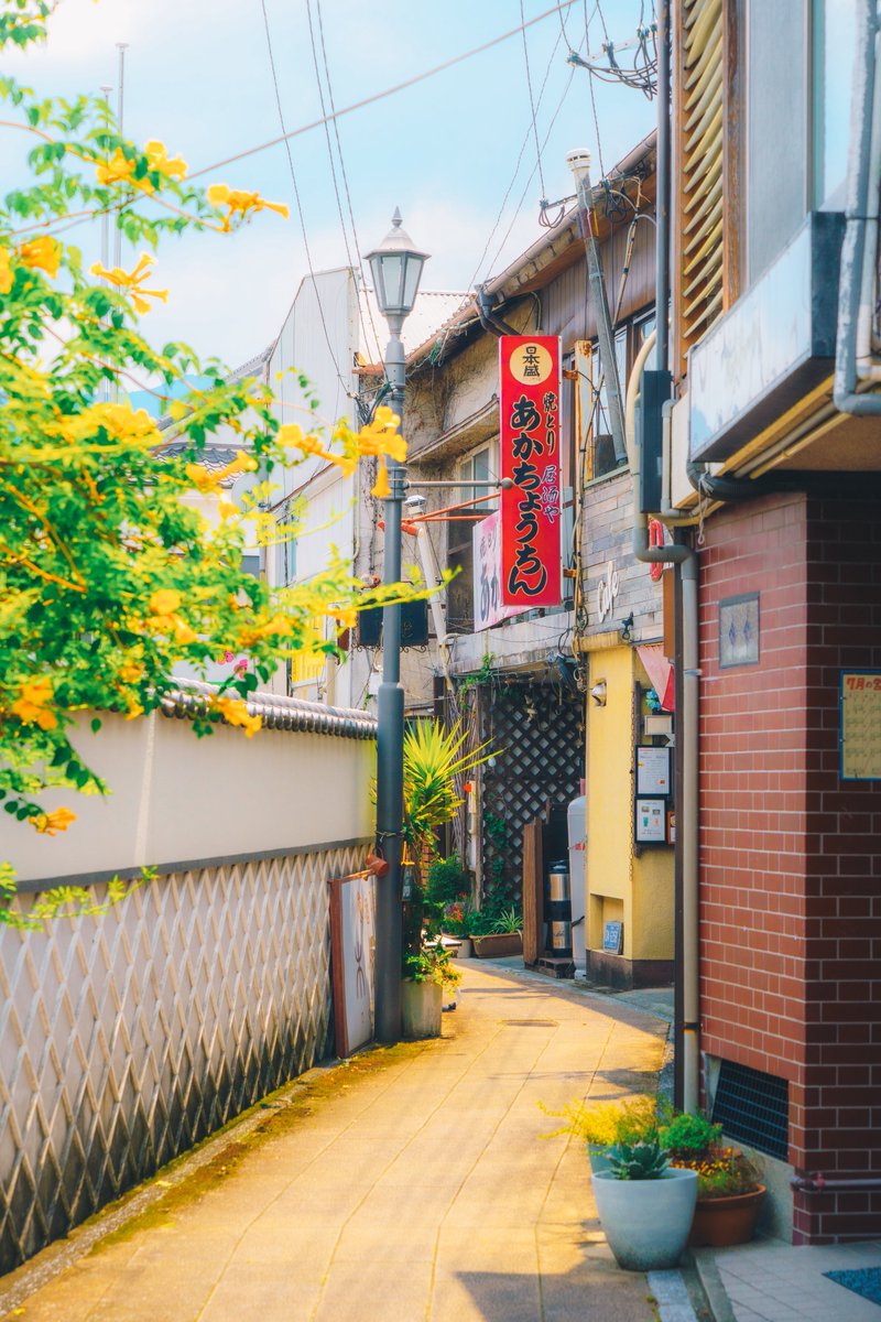 tsunekawa__'s tweet photo. ひとりで移住した町が良すぎる。 https://t.co/4wyHc46euk