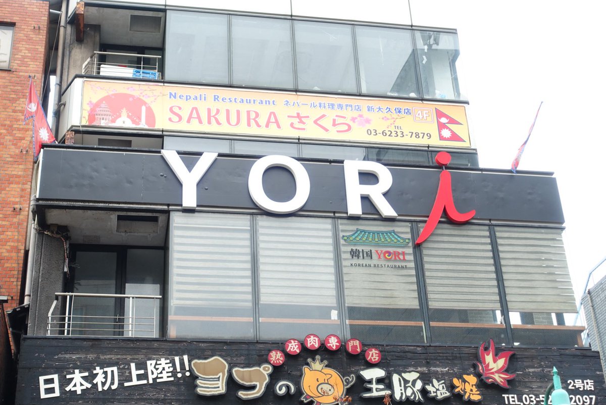 Yorikaaaaman's tweet photo. 先日のYORI。 https://t.co/RI2rm11C1c
