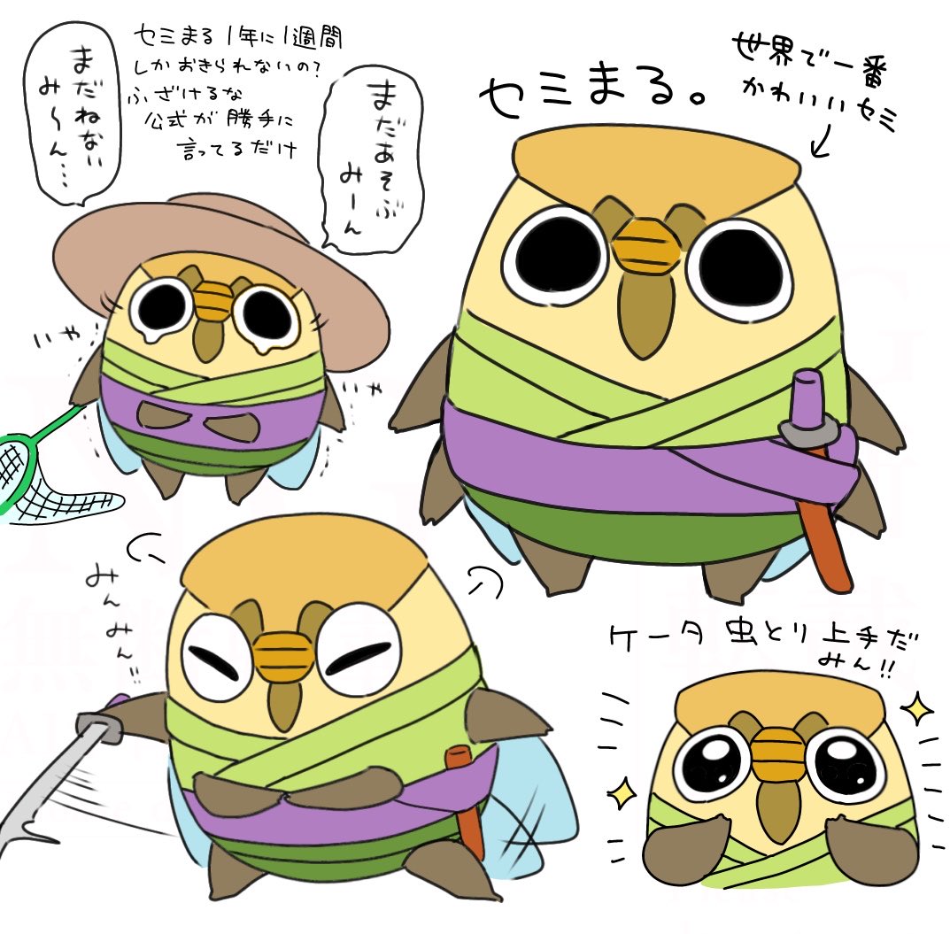 0lM08Ed6ex99530's tweet photo. かわいいね、セミ丸 https://t.co/sqitC0G6gy