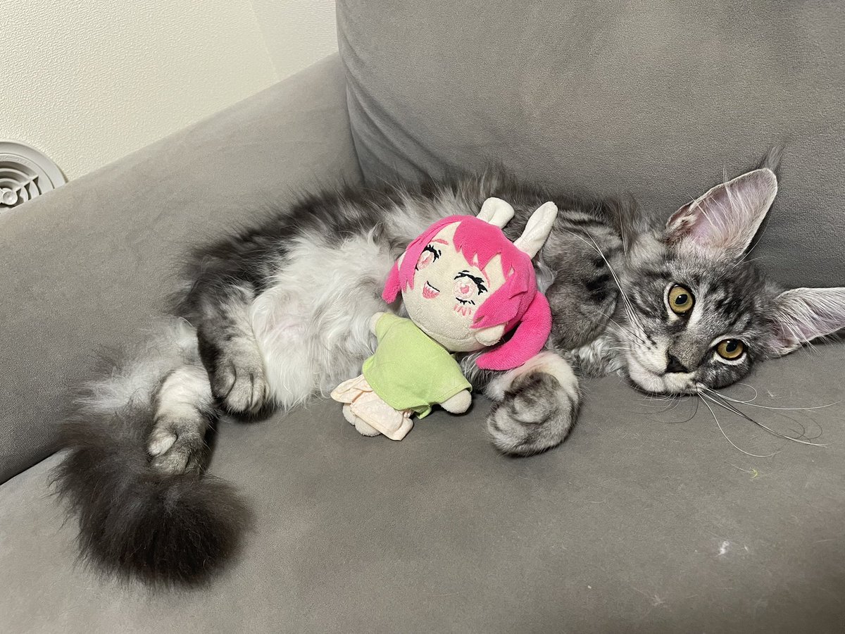 kicigekaihou's tweet photo. おはきこ https://t.co/NRqWiPrBEy