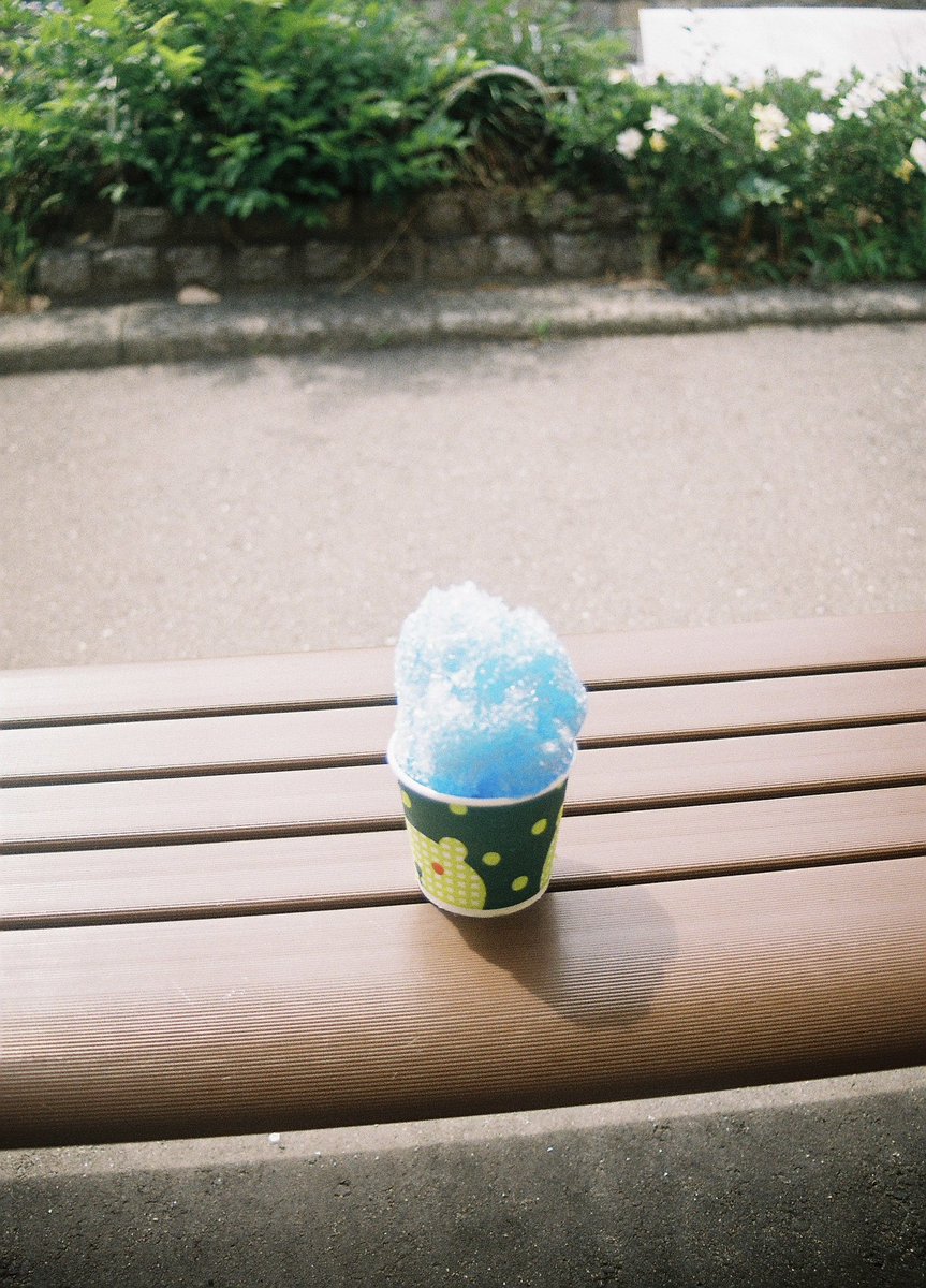 hidakarin08's tweet photo. 夏がすき

#写真好きな人と繋がりたい
#カメラ好きな人と繋がりたい
#photopartner https://t.co/dBNw6bE7qU