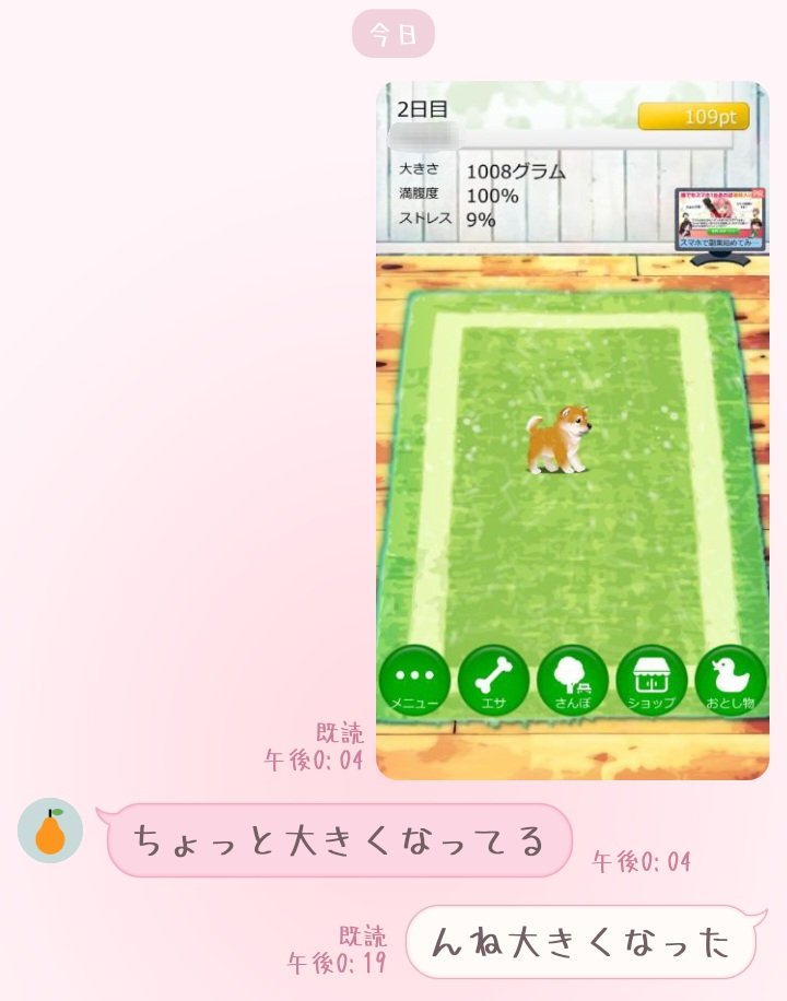 Agoti_0904's tweet photo. 母親は私のしば犬を管理してきます。まだ2日だぞ❓ https://t.co/4rCoSOqDDN