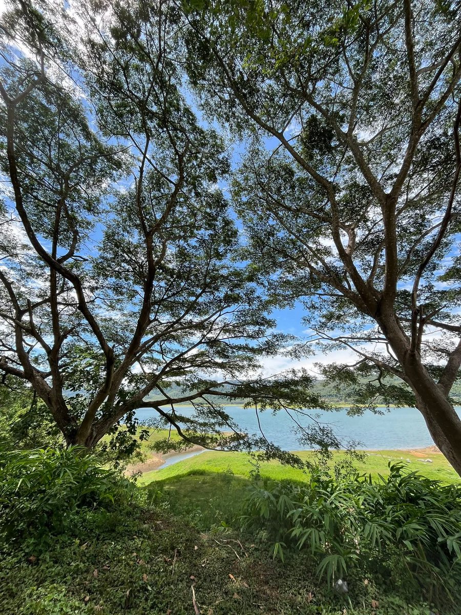 Nicha76517181's tweet photo. "บรรยากาศดีจัง"🏞️🌲🌳��
#พัทลุง
#ป่ายอม
#ควนขนุน
#เหงามากทักมาคุยกันได้นะค่ะ💋 https://t.co/2XbIgtKTfg
