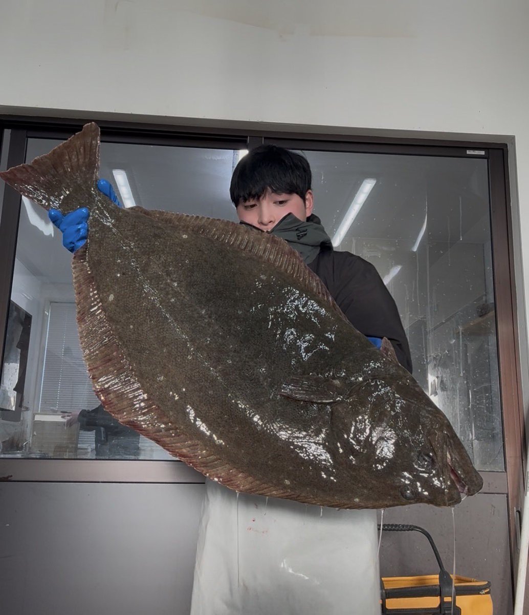 skanayaneko's tweet photo. 重い、さてお魚の名前分かるかな❓🙀 https://t.co/pNVy4sDvs2