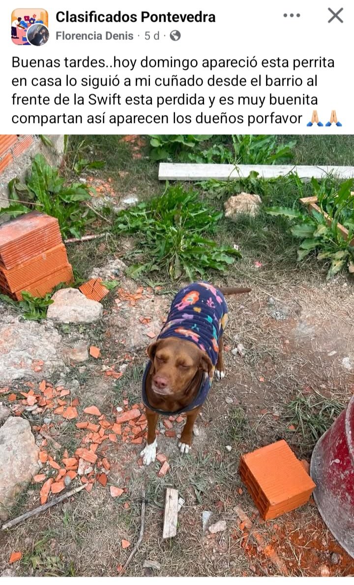 PerrosdeMerlo's tweet photo. https://t.co/vKKwui9Uko