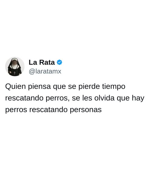 Ottaviani_Gatti's tweet photo. https://t.co/nro1xaAQI3