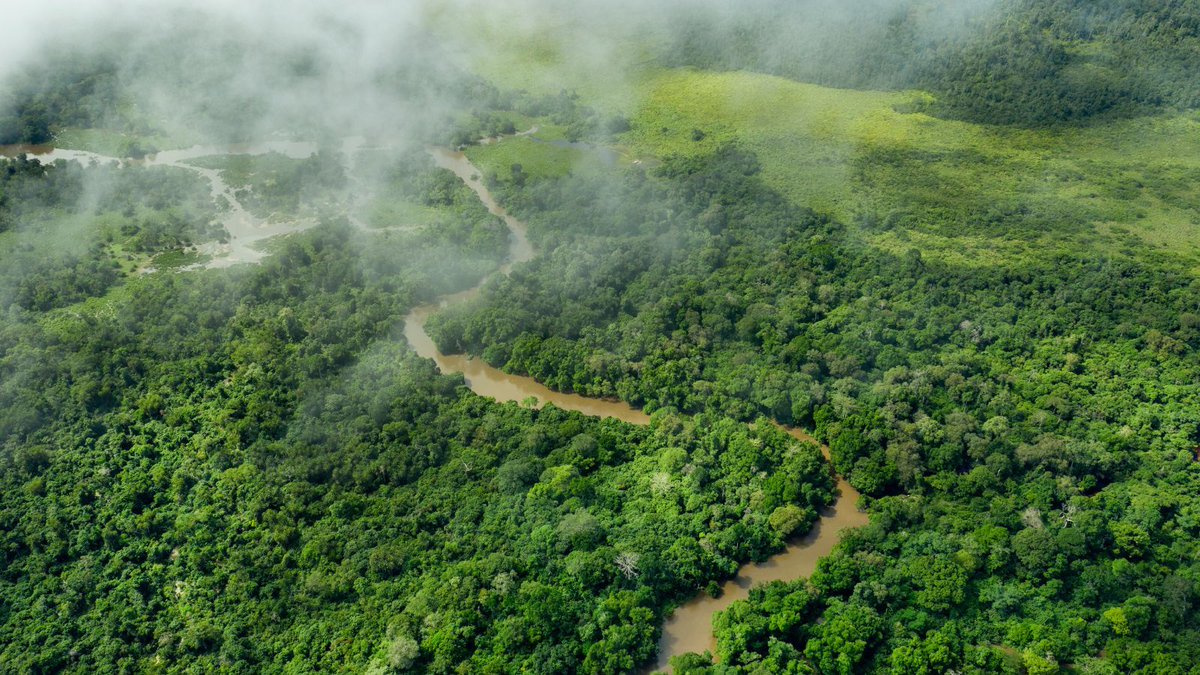 jica_direct's tweet photo. 50年ぶりにW杯の舞台へ帰ってきた！ コンゴ民主共和国🇨🇩 

かつて「ザイール」として出場した1974年から半世紀。強豪ポルトガルに引き分けるなど奮闘！実は、コンゴ川に架かる「マタディ橋」（1983年完成）は当時の日本の技術を結集した国際協力のシンボル🤝 

今大会初勝利に向けて、応援しています！ 

#W杯 #コンゴ民主共和国 #アフリカ #マタディ橋