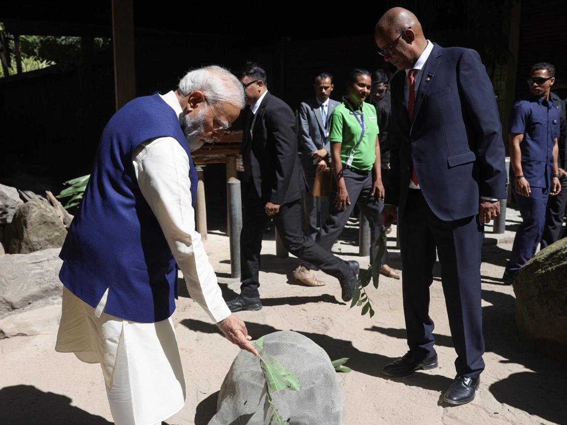 askrajeshsahu's tweet photo. पीएम मोदी इन दिनों सेशेल्स में हैं। वहां उन्होंन दुनिया के सबसे उम्रदराज जीवित जीव जोनाथन कछुआ से मुलाकात की। ऐसा माना जाता है कि जोनाथन का जन्म 1832 में हुआ था, यानी इस वक्त उसकी उम्र 194 साल है। 

गिनीज वर्ल्ड रिकॉर्ड्स ने उसे दुनिया का सबसे उम्रदराज जीवित जमीनी जानवर माना है। https://t.co/P7NYkRjKrJ