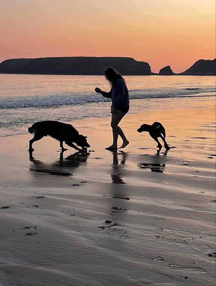 wannapaws7l5w's tweet photo. Late night cuddles with my pups hit different 😩🐕 The bond is real and the joy is endless. Best therapy ever. Come join the family. 
Link on my Bio 👆👆 https://t.co/DLkrkojiFQ
