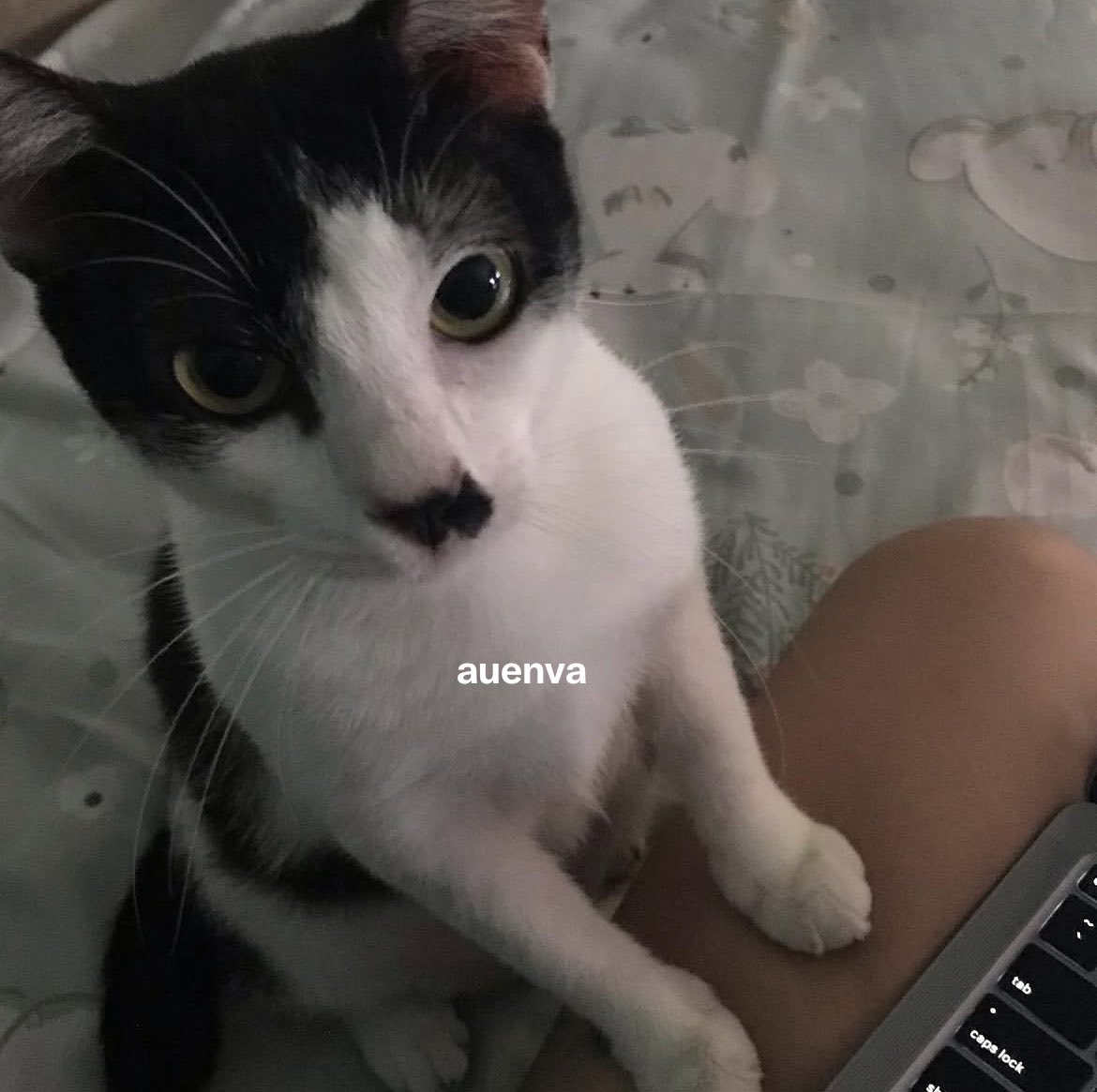 auenva's tweet photo. ini mau apaa si? erok? https://t.co/z5Xdfh0w6b