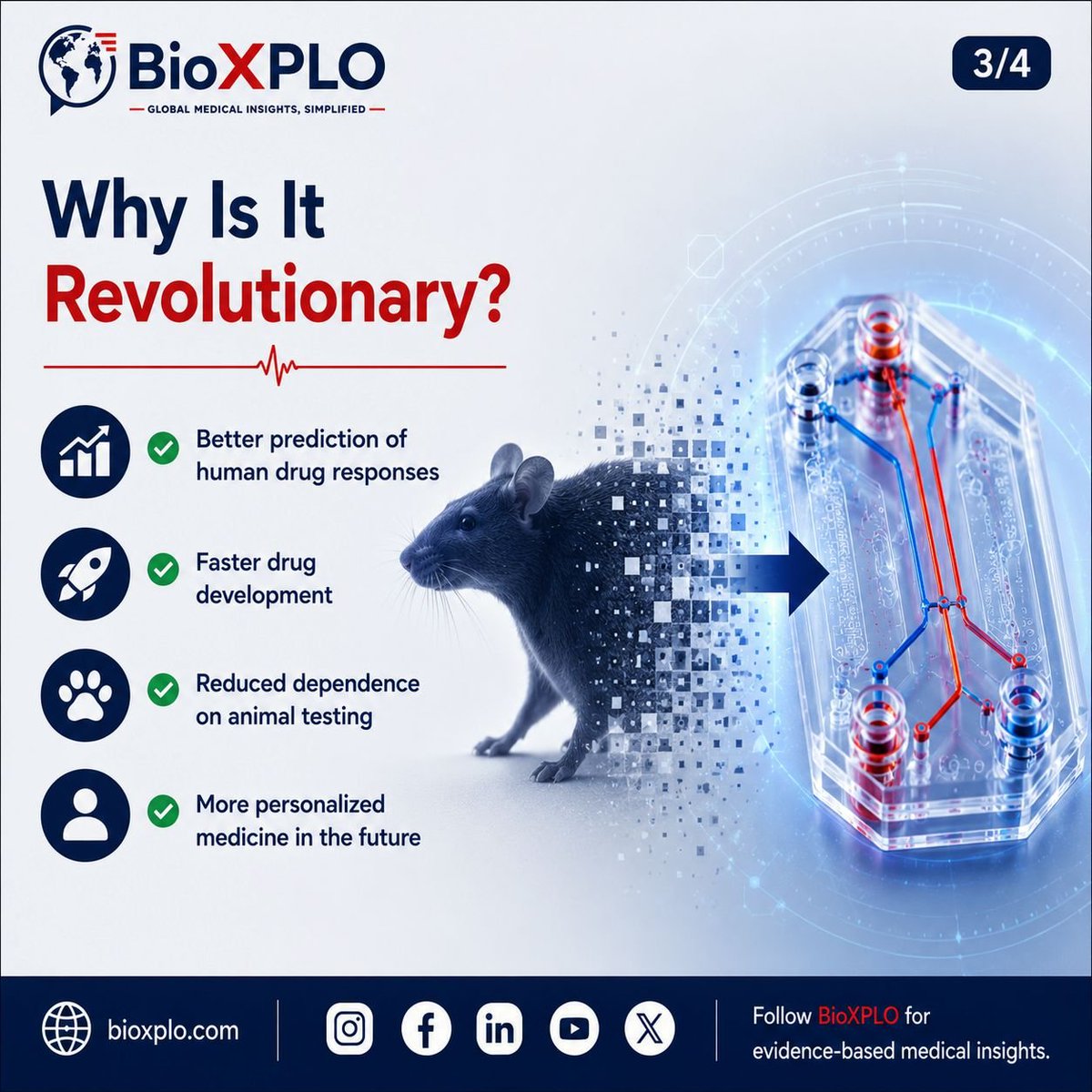 BioXPLO's tweet photo. Could tiny chips end the era of animal testing? 

​Organ-on-a-Chip tech mimics human organs (Heart, Lung, Liver) using real human cells on microfluidic chips.
​With U.S. FDA backing, it means:
✅ Faster drug development
✅ More accurate human data
✅ Smarter healthcare
​#BioXPLO https://t.co/abXhorgygn