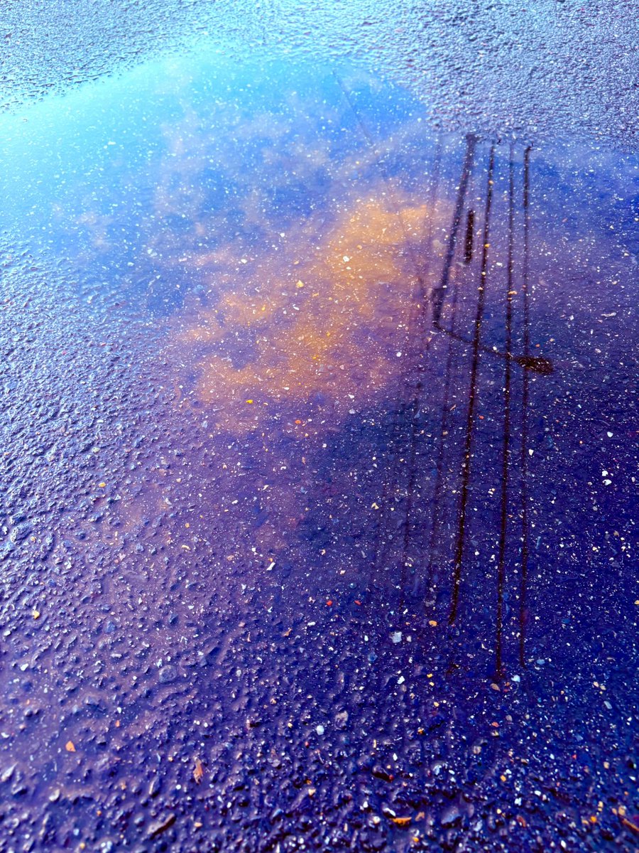 lzz26f's tweet photo. 通勤路は、雨で
バサバサな髪(´ω｀)w
帰路は晴れて
銀河のような水溜り
幸せな光景
乙かれさま https://t.co/7sy8ocvhEF