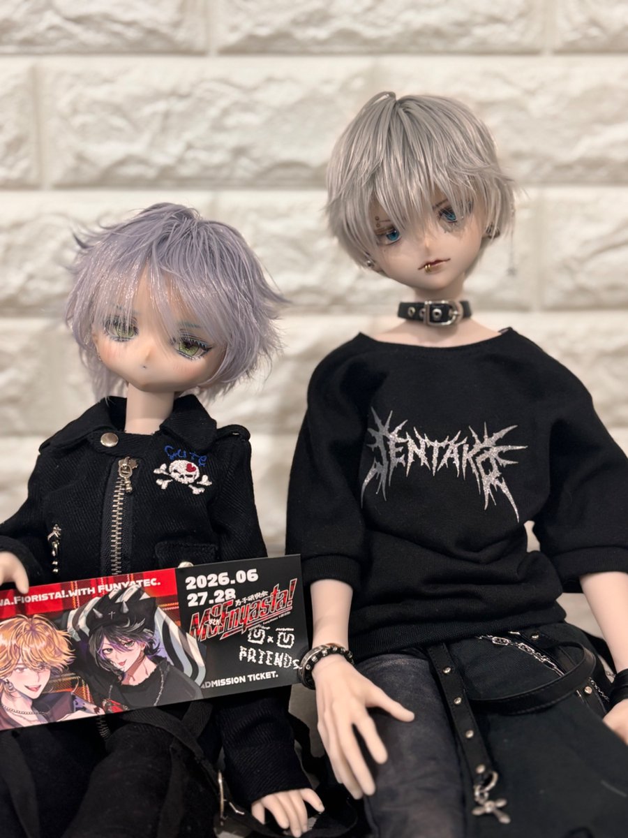 🐈𝖒𝖔𝖒𝖔𝖌𝖆 🐈 (@momo723215) / Posts / X