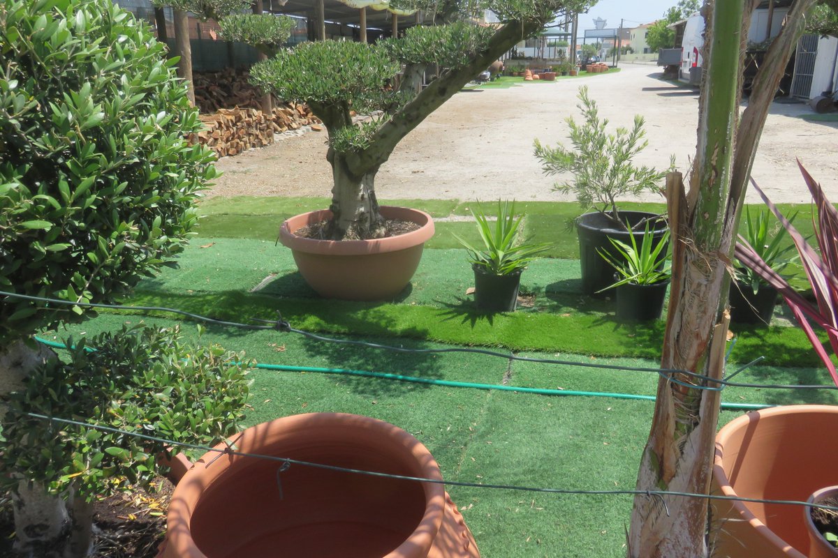bardofely's tweet photo. #Plasticgrass is very popular in #Portugal. It is on sale at garden centres and promoted as the thing to have next to your pool. @Shitlawns take a look at this! The public are encouraged to buy this! https://t.co/Q7nQ5friGU