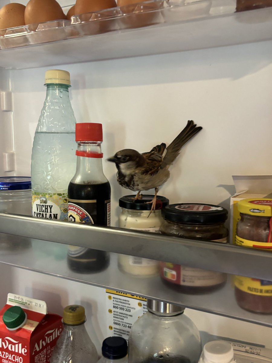 Sumarc's tweet photo. Algú te calor… https://t.co/2uvbzDzOXP