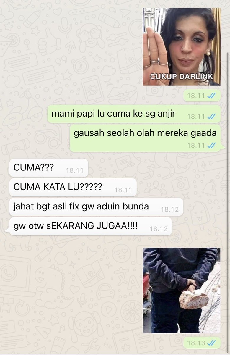 vania tweet media