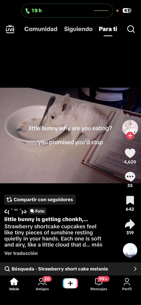 milikiki030's tweet photo. PAREN con el bodyshaming creeyendose conejos cuando los conejos tragan todo el dia 😢 https://t.co/Z7KLI45QWr