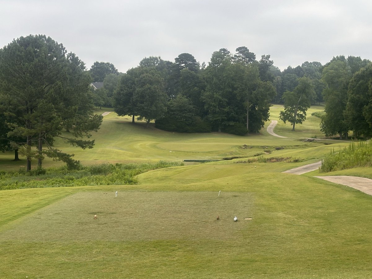 DaryckB's tweet photo. The Celebration Bermuda tees on 7 on just start to spread laterally &amp; it’s June 27th. The weather has been odd this year. A couple more urea apps &amp; we’ll be golden. https://t.co/z3WNPjXyph