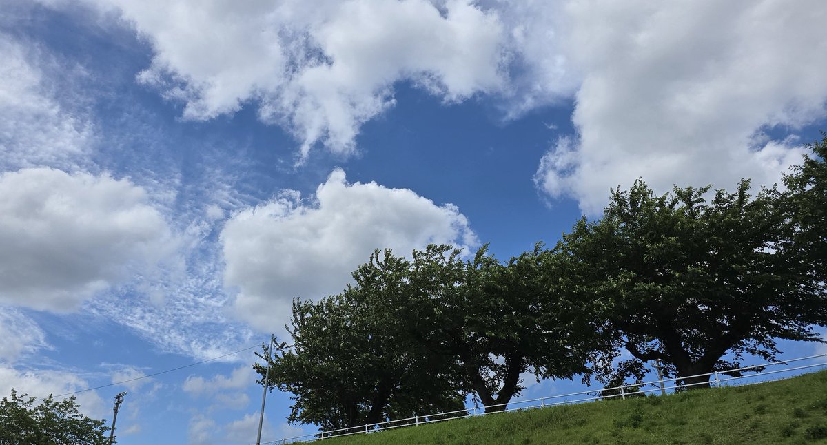 __kr1220__'s tweet photo. 次男を待ち時間中、近くの公園を散歩。
暑かったけど、風あって気持ちよかった～。
たまには外出なきゃダメね。 https://t.co/6ONCx9qLje