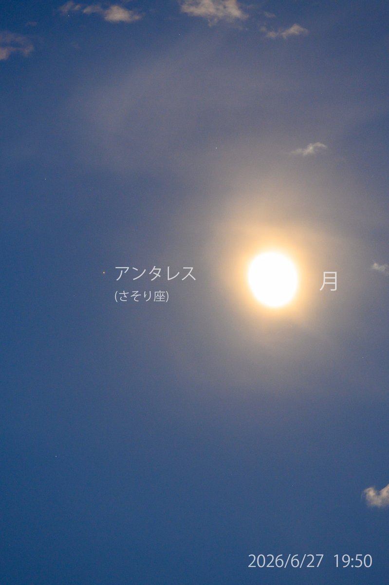 man_ten_bo_shi's tweet photo. 今夜撮影した月とアンタレスです。
月のすぐ左側にさそり座のアンタレスが輝いています。

アンタレスはお年寄りの星「赤色巨星」です。
太陽の直径の約700倍もあります。
もし太陽の位置にアンタレスを置いたら、地球や火星は飲み込まれます。
超巨大な星なんだなとイメージしてみましょう。 https://t.co/hMyv2dhRjj