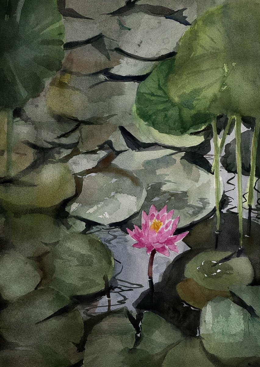 水彩画「蓮池」 近所の蓮池にて。#watercolorpainting #水彩画