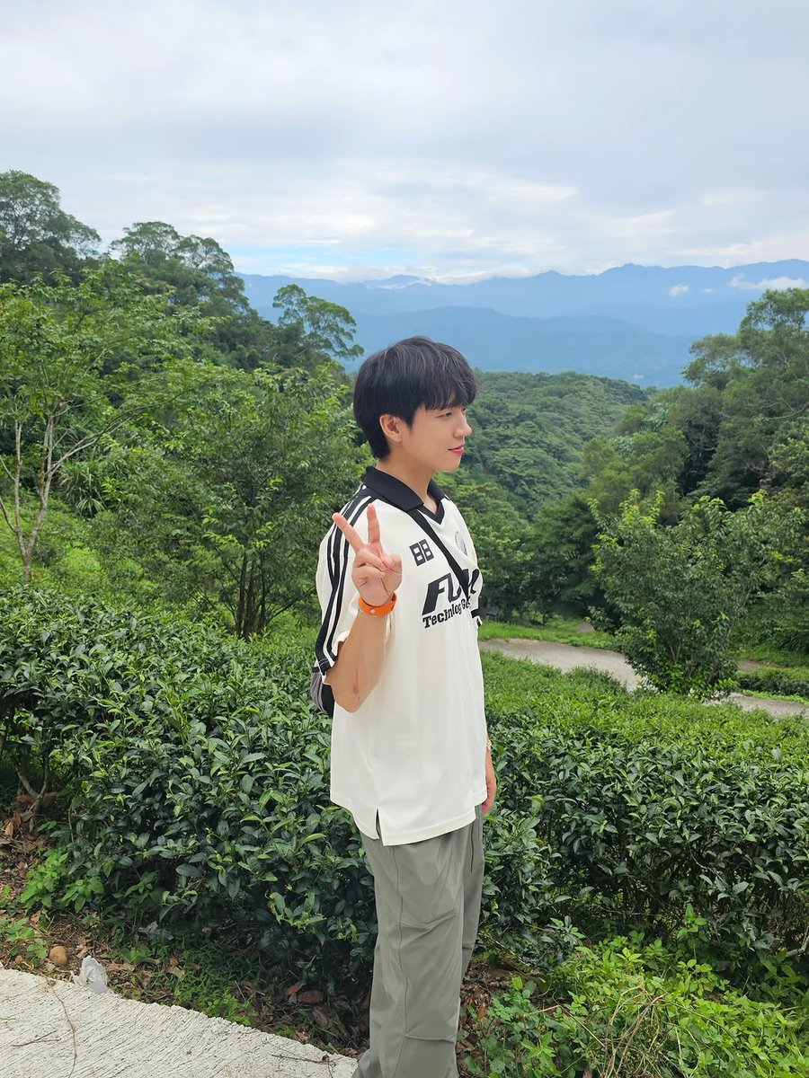 nmwhh91's tweet photo. 🌱 https://t.co/bbczsTYXcR